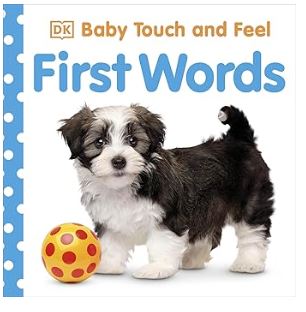 Baby Touch and Feel First  Words